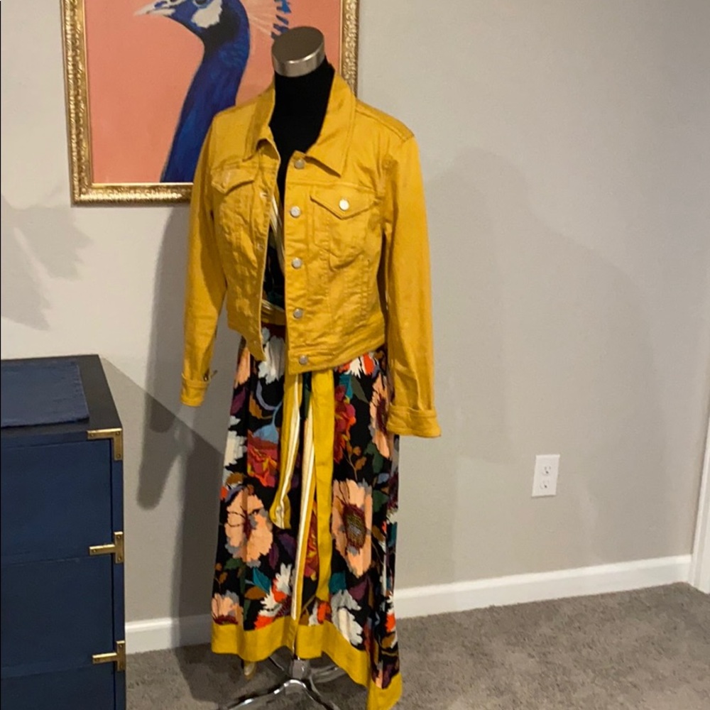 Anthropologie Pilcro and Letterpress Jacket